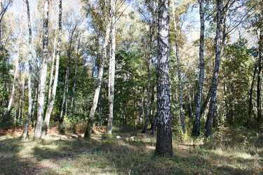 Similar image 22198366