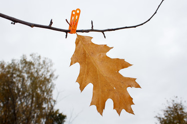 Similar image 22198368