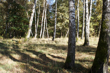 Similar image 22198369