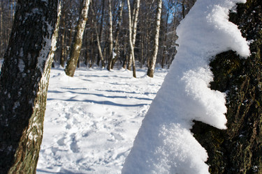 Similar image 22198371