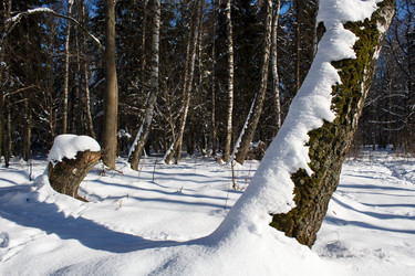 Similar image 22198374