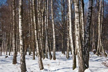 Similar image 22198375