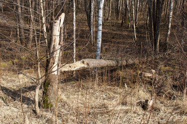 Similar image 22198376