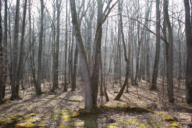 Similar image 22198377