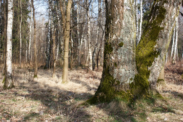 Similar image 22198378