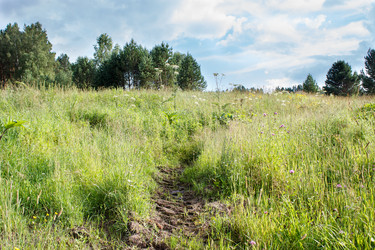 Similar image 22198391