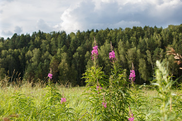 Similar image 22198393