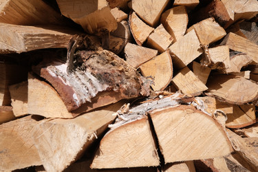 Similar image 22199031