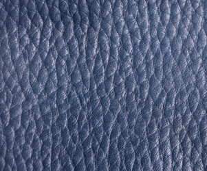 Similar image 22199038