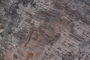 Similar image 22199426