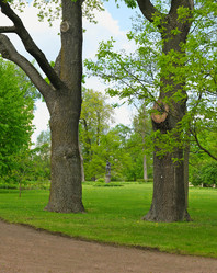 Similar image 22199958