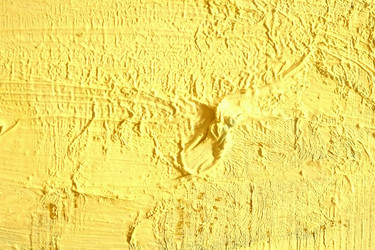 Similar image 22199964