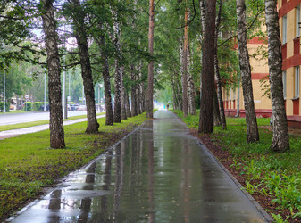 Similar image 22200544