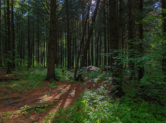 Similar image 22201630