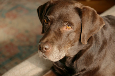 Similar image 22208154