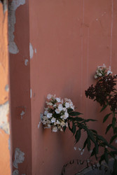 Similar image 22208352