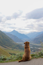 Similar image 22208363