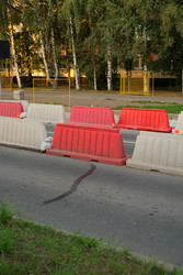 Similar image 22208502