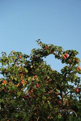 Similar image 22208193