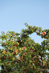 Similar image 22208195