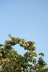 Similar image 22208197