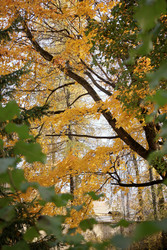 Similar image 22208198