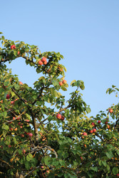 Similar image 22208199