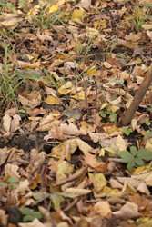 Similar image 22208364