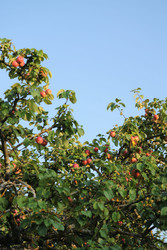 Similar image 22208365