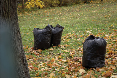 Similar image 22208366