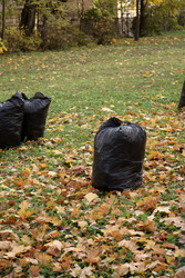 Similar image 22208372