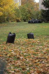 Similar image 22208376