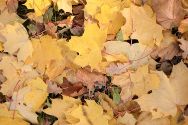 Similar image 22208379