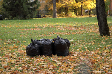 Similar image 22208382