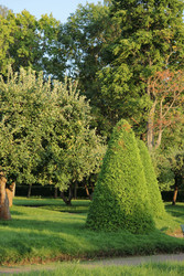 Similar image 22208506