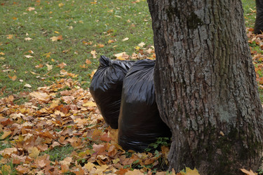 Similar image 22208511