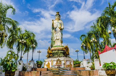 Similar image 22197494