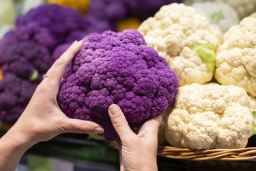 Similar image 22204239