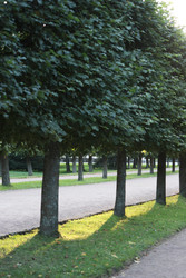 Similar image 22208200