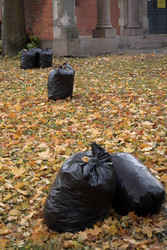 Similar image 22208201