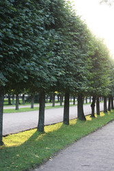 Similar image 22208202