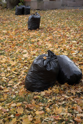 Similar image 22208203