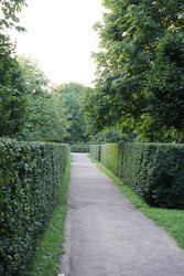 Similar image 22208204