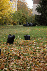 Similar image 22208205