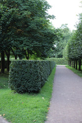 Similar image 22208206