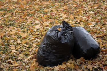 Similar image 22208207