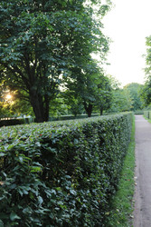 Similar image 22208208