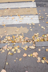 Similar image 22208209