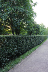 Similar image 22208210