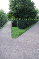 Similar image 22208212